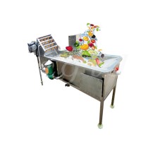 Commercial Fruit And Vegetable Cleaning Bubble Peeling Brush Carrot Cassava Apple Washing Machine